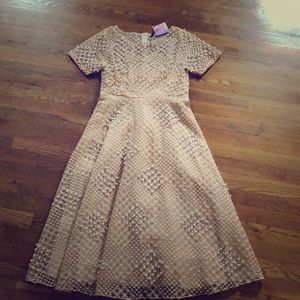 Brand new Chic wish, faux pearl, nude color dress